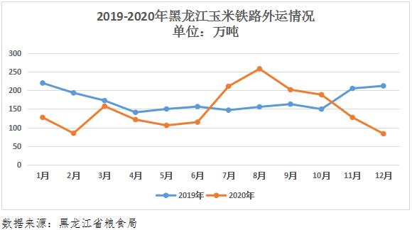 黑玉米价格最新行情分析