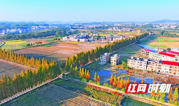 常宁市刘启宏的最新消息