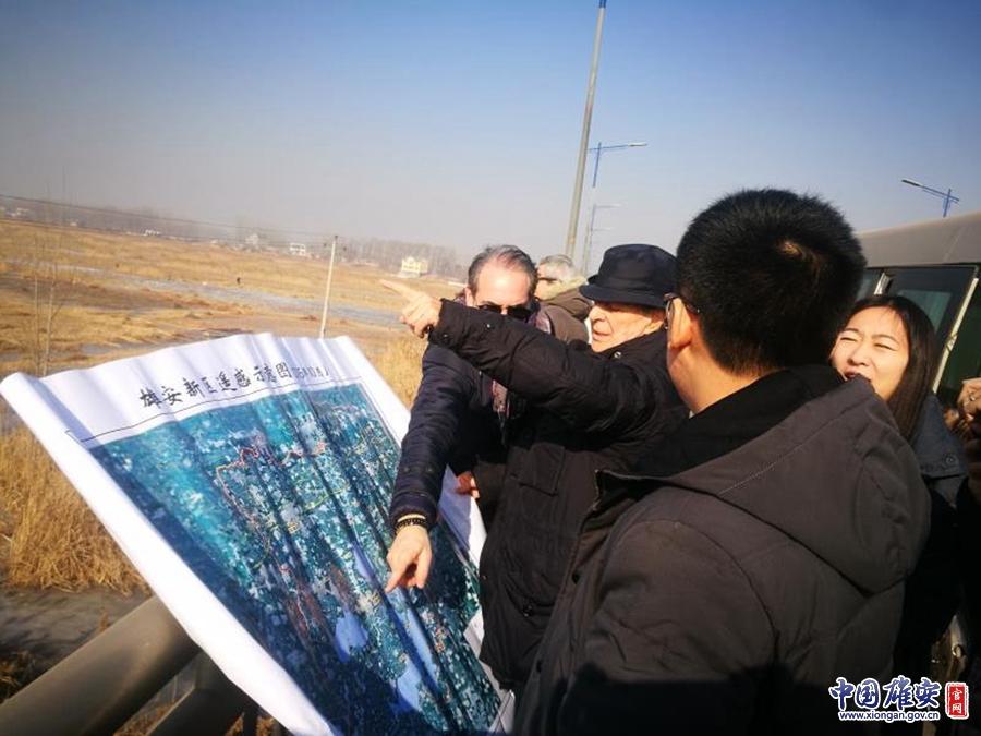 雄安新区最新官方消息，发展蓝图与建设进展