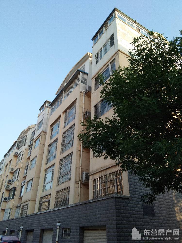 东营市东城最新二手房市场概览