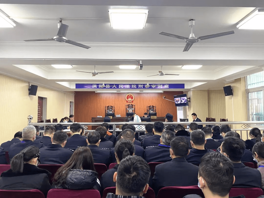 涡阳县教育局最新消息，教育改革与发展动态