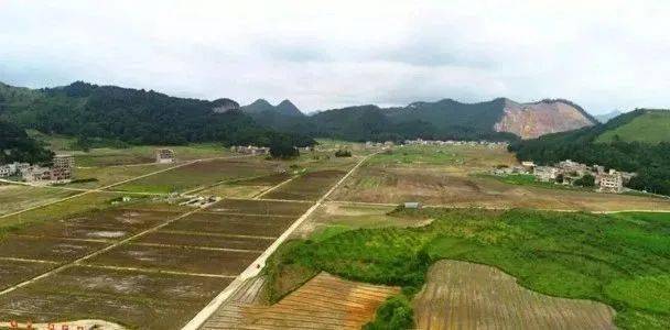 贵州省广顺镇最新消息，蓬勃发展中的新篇章