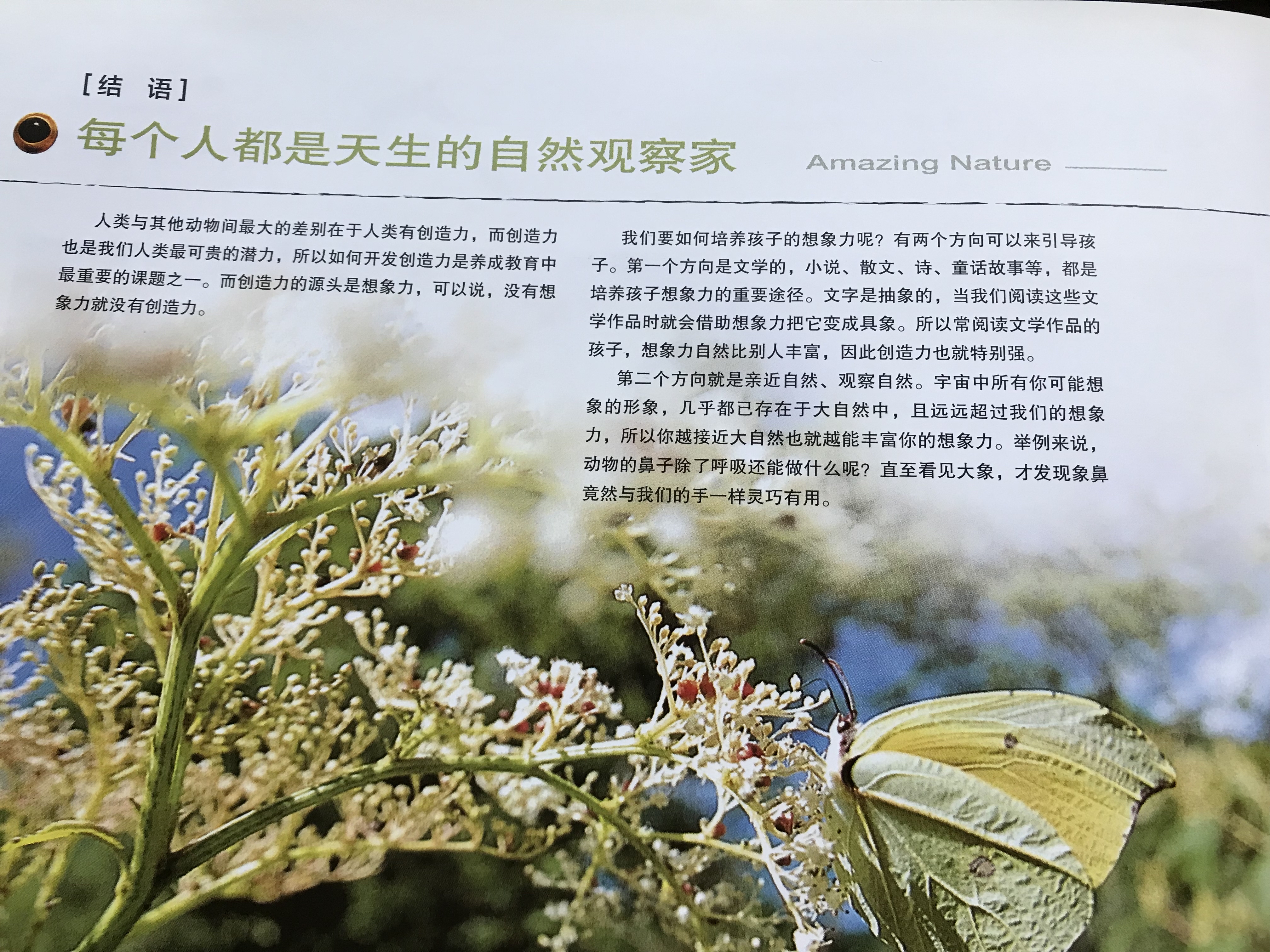 天赖，自然的奥秘与人类的探索