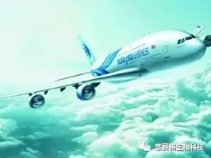 马航MH370最新消息2024，探索真相与希望的旅程