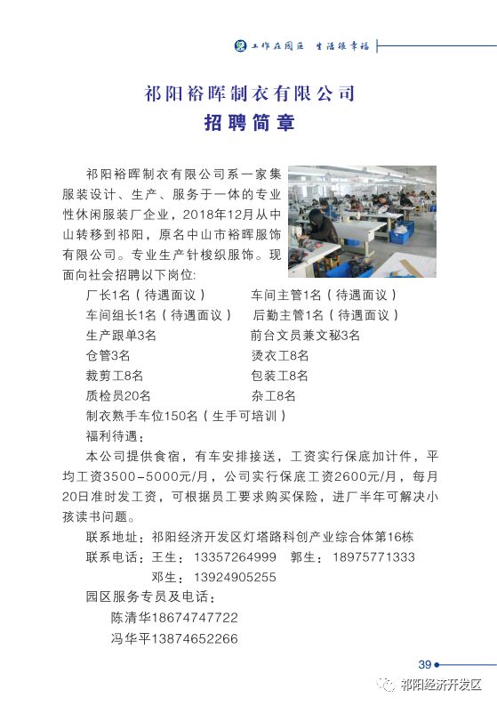 洛阳市招聘网最新招聘信息概览
