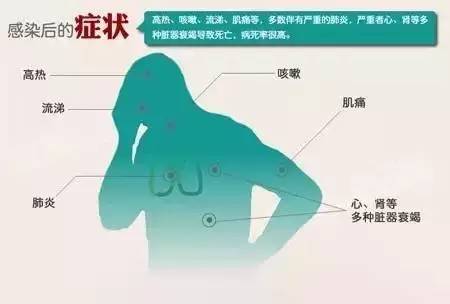 焦点 第119页