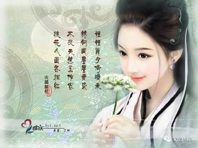 一夜弃妃，爱恨交织的宫廷风云最新更新章节