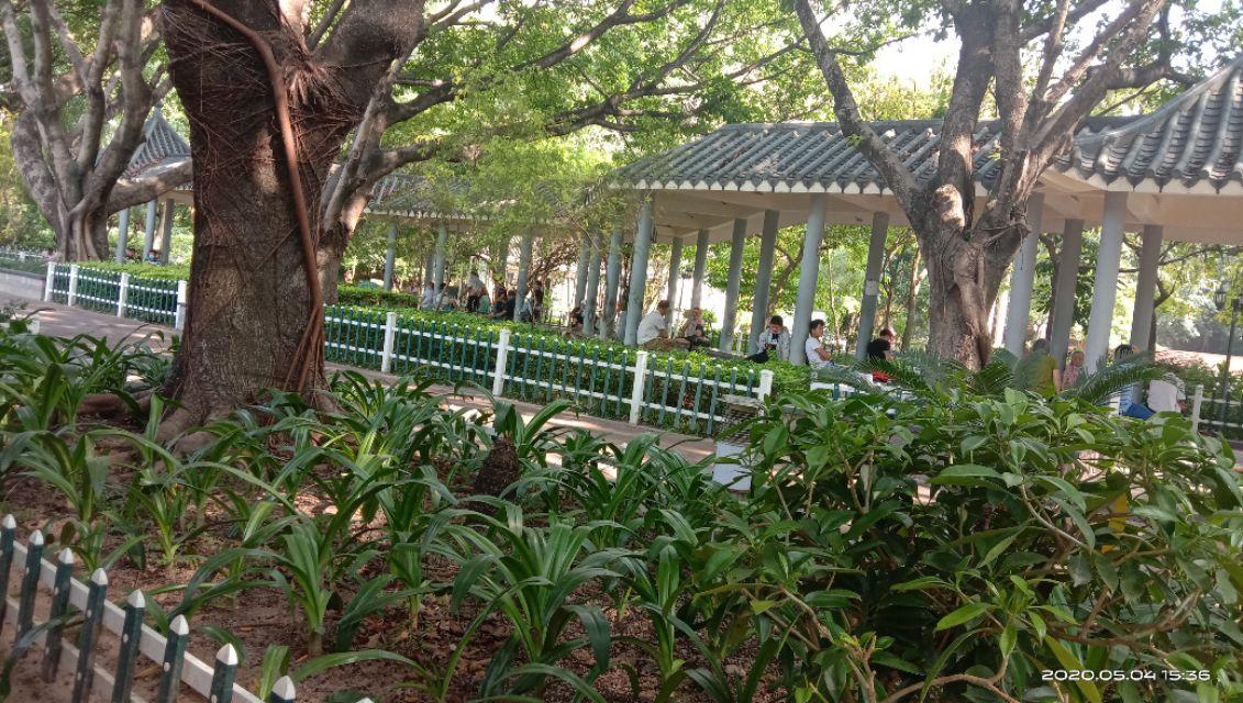 龙华三和人才市场最新招聘信息概览