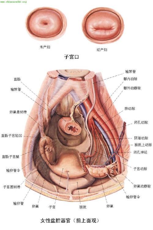 焦点 第91页