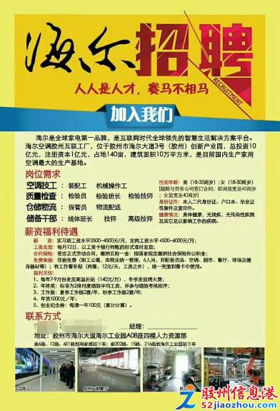 山东莱州最新招聘信息概览