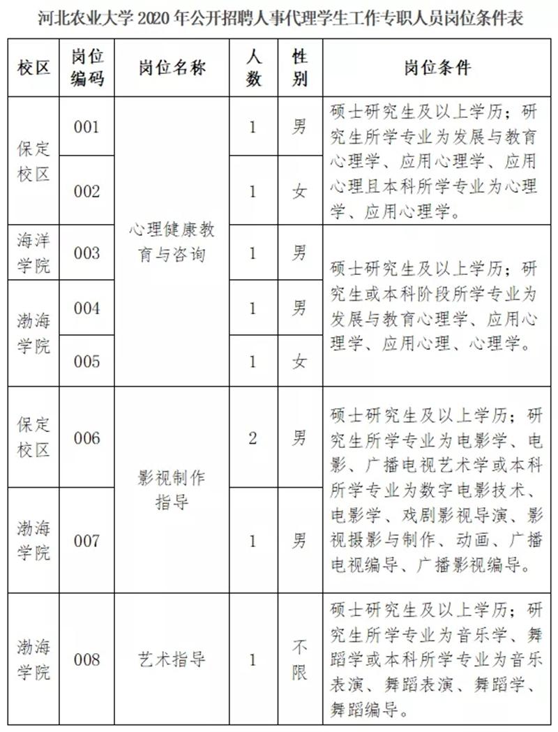 辅导员24号令最新版，重塑学生管理与服务的新标准