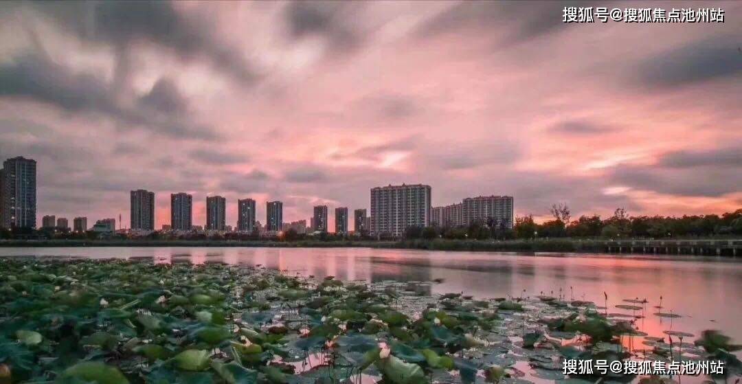 蓝龙德标准卡组最新解析与构建策略