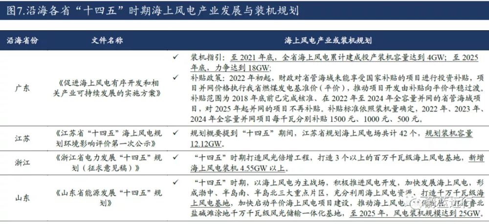 湛江官场地震最新消息，深度剖析与影响展望