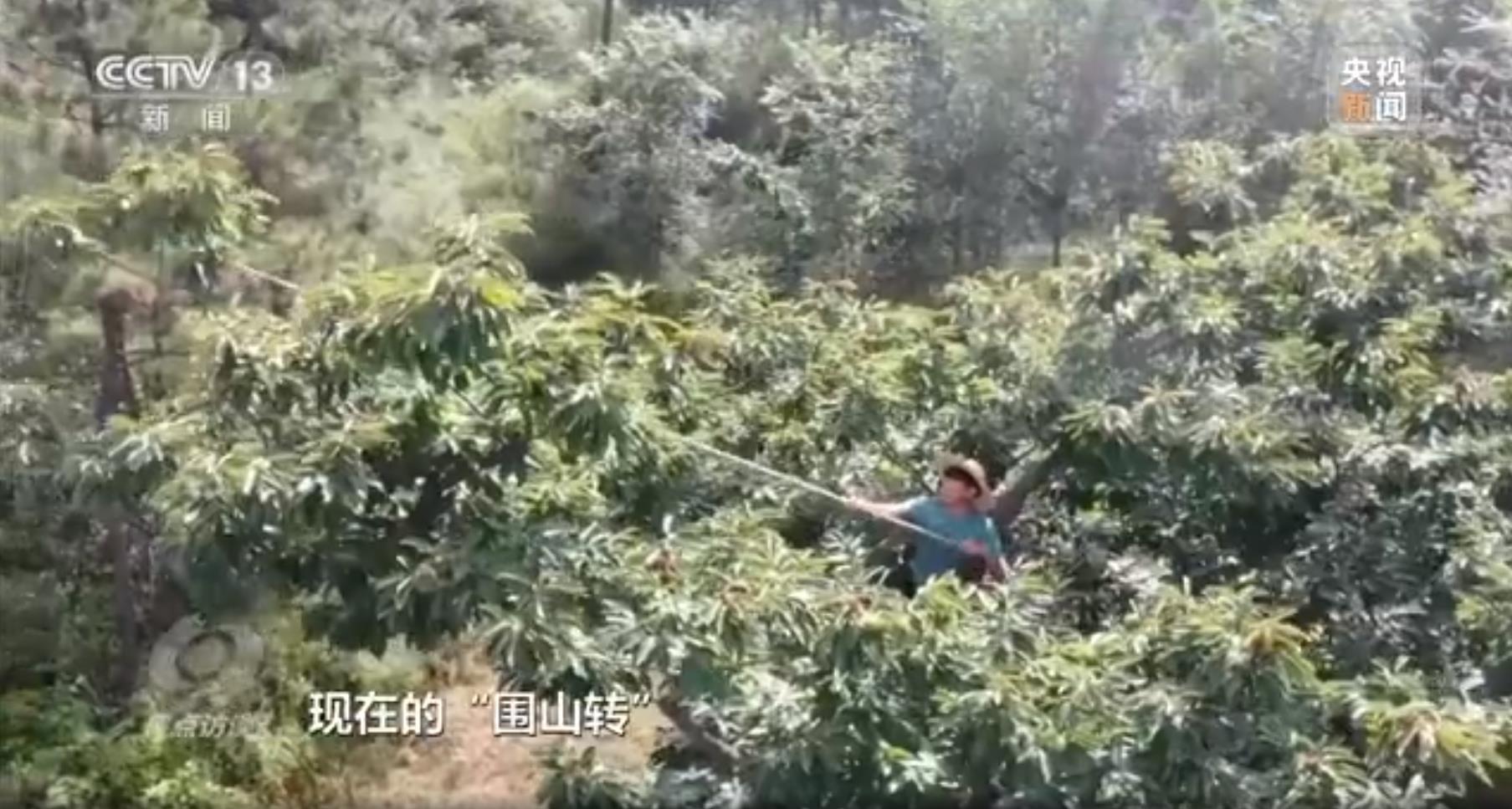 三北防护林最新消息，绿色长城的崭新篇章