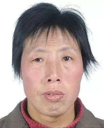 三门峡市最新老赖名单曝光，揭示失信背后的故事