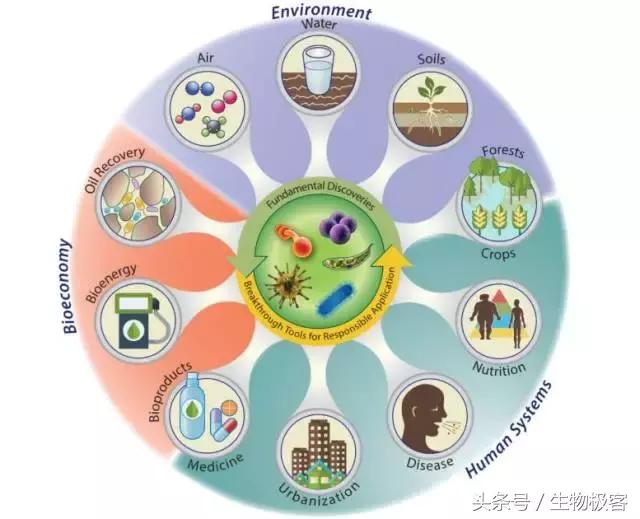 厌氧微生物学的最新书籍，探索未知领域的引领者