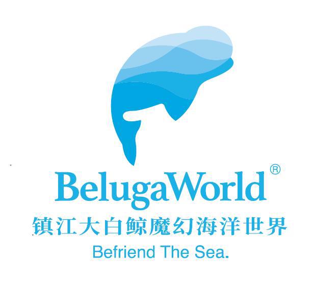 芜湖市三山区最新招聘信息概览