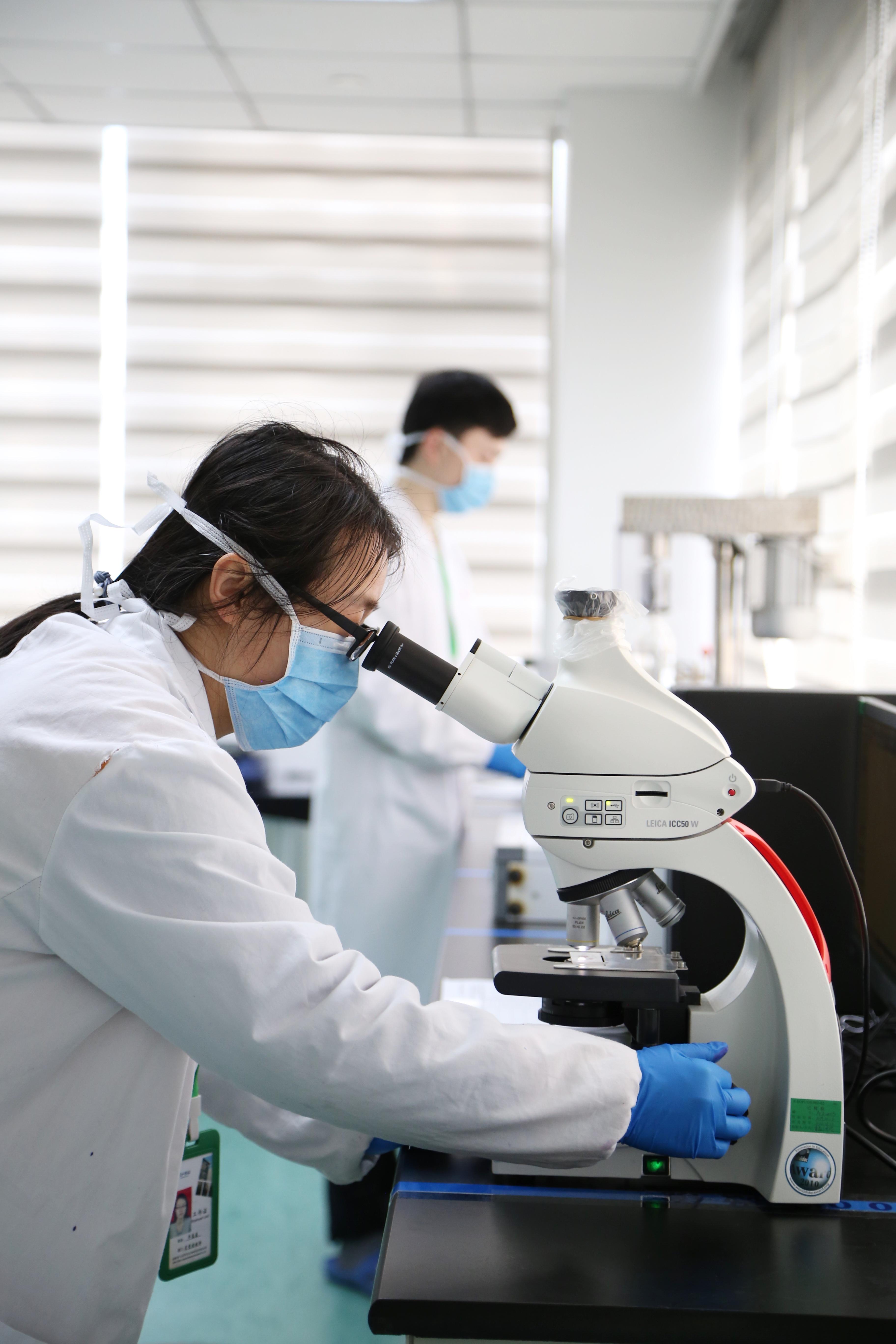 合肥药企最新招聘信息概览
